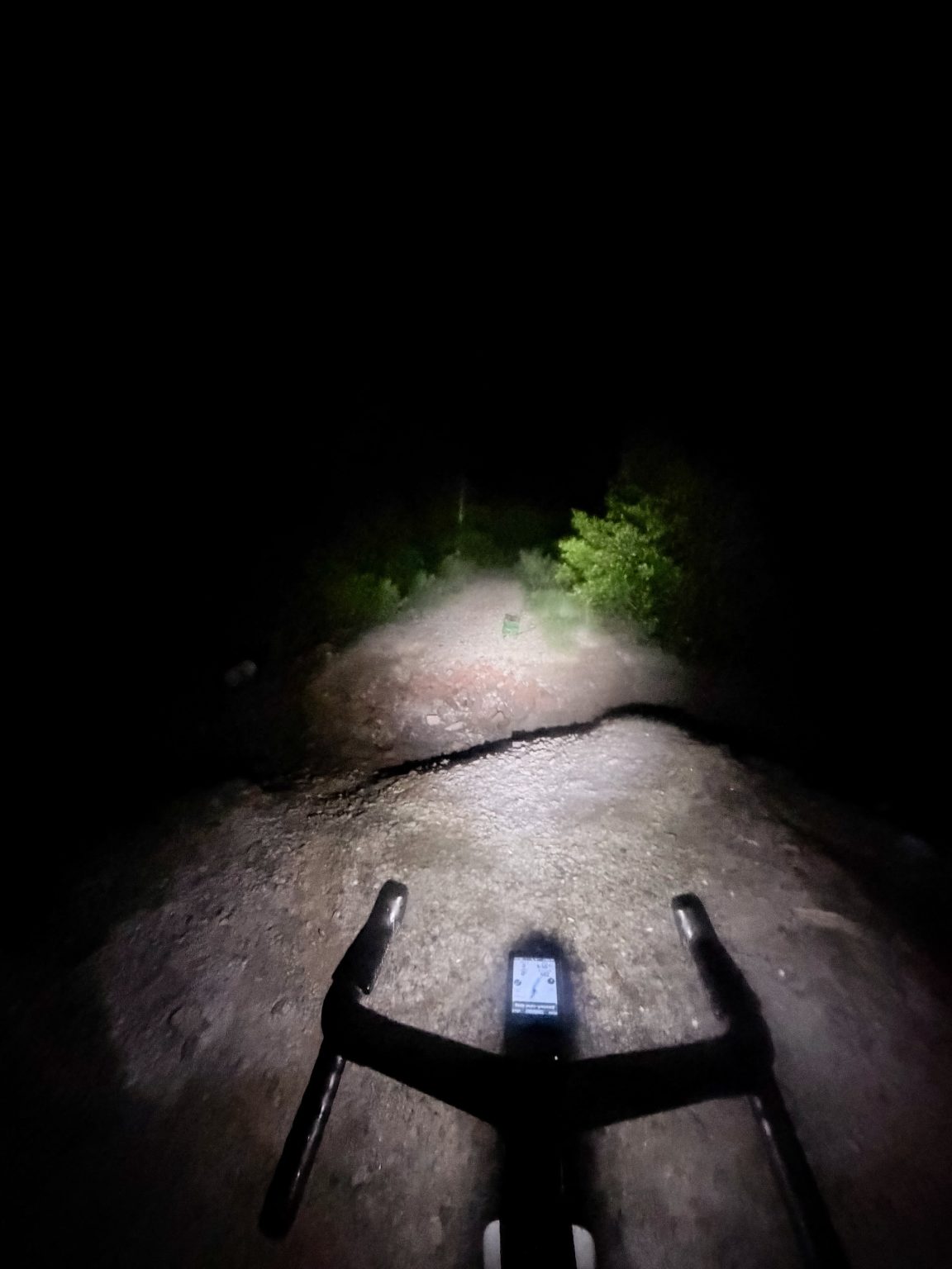 View over the handlebars at night, a bike light picking out a narrow path through the jungle